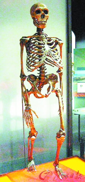 国外研究:我们有尼安德特人血统?