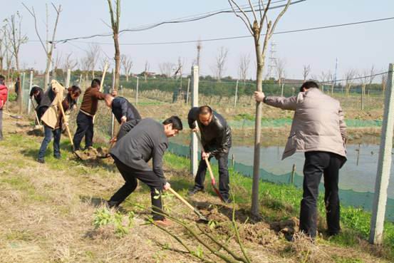 3月12日上午,新塍镇近百名机关干部来到大通村土地整理区道路,圩堤